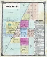 Chenoa, McLean County 1874